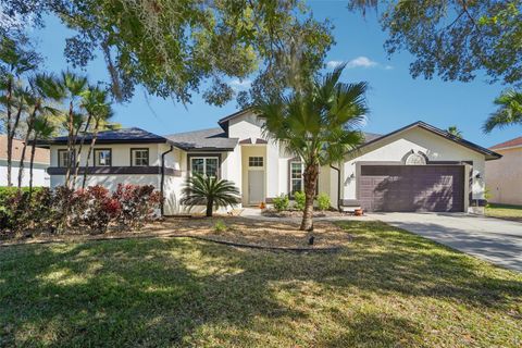 Photo of 4909 Willow Ridge Terrace, Valrico, FL 33596 (MLS # TB8469671)