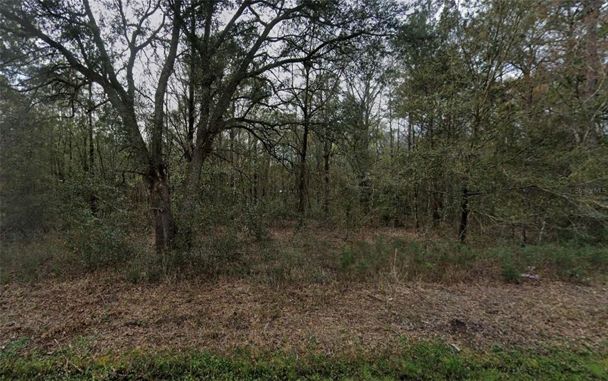 Spacious 1.14-Acre Lot in Flagler Estates, Hastings, FL!
Discover the perfect blend of privacy and convenience with this beautiful 1.14-acre lot located in the peaceful Flagler Estates subdivision. Enjoy the quiet surroundings and natural beauty while being just a short drive from historic St. Augustine, the St. Johns River, and Palm Coast beaches.
Conveniently located near State Road 207, with easy access to U.S. Highway 1 and Interstate 95, this property offers a simple commute to nearby cities like St. Augustine, Palatka, and Palm Coast — while still providing the tranquility of country living.
This versatile property is zoned for either mobile or single-family homes and offers the freedom to bring your animals, park your RV, boat, or equipment— with no HOA. The buyer will be responsible for installing a well and septic system.
Build your dream home or peaceful retreat in this growing area — Explore the possibilities!