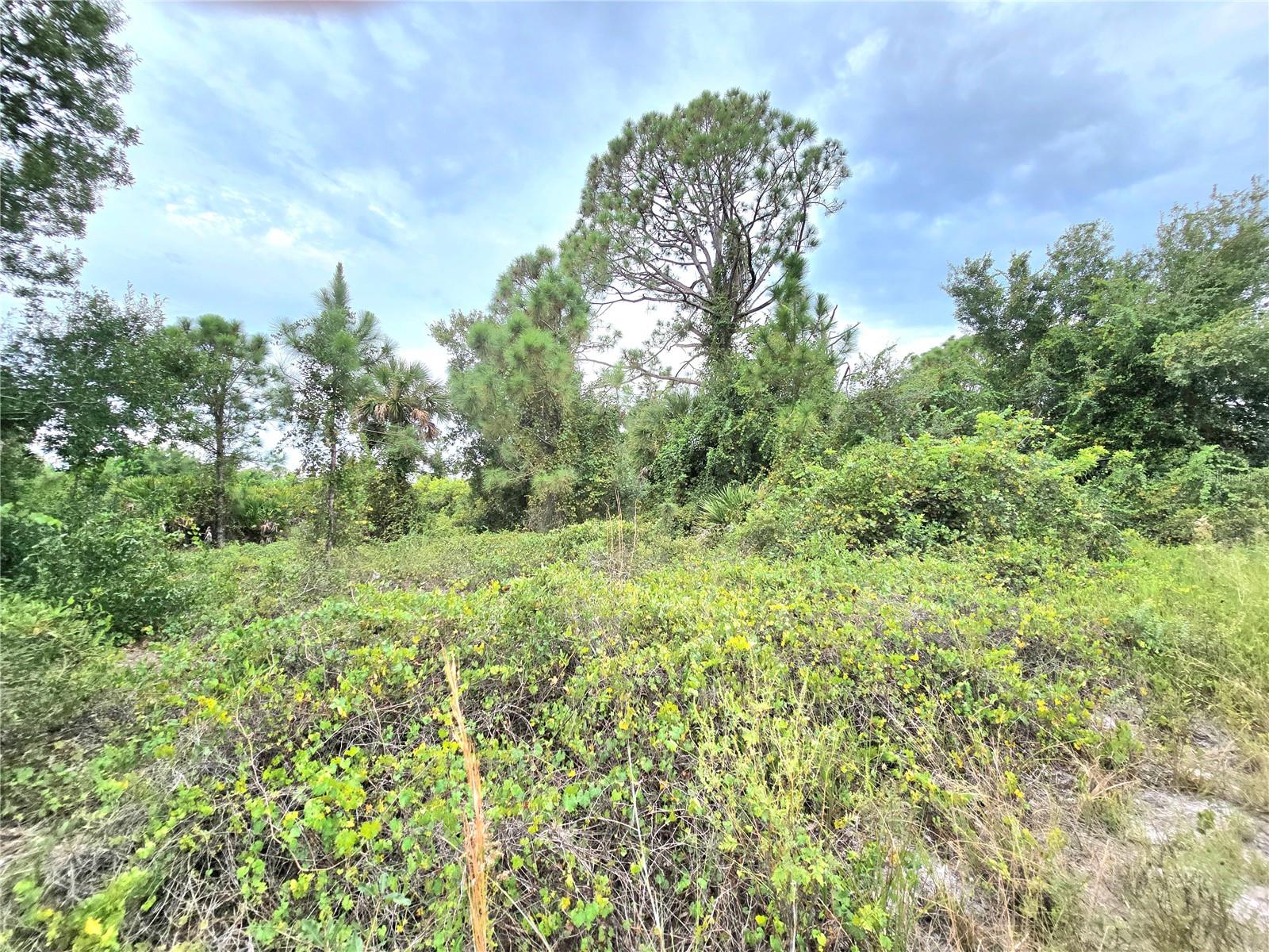 PORT CHARLOTTE SEC 062 - Land