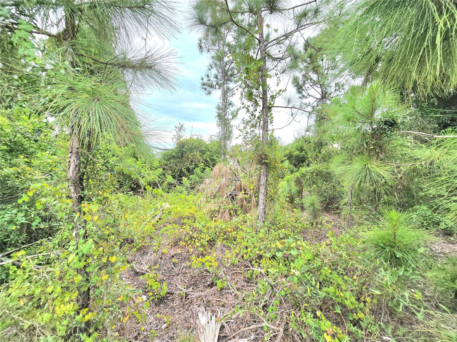 PORT CHARLOTTE SEC 062 - Land