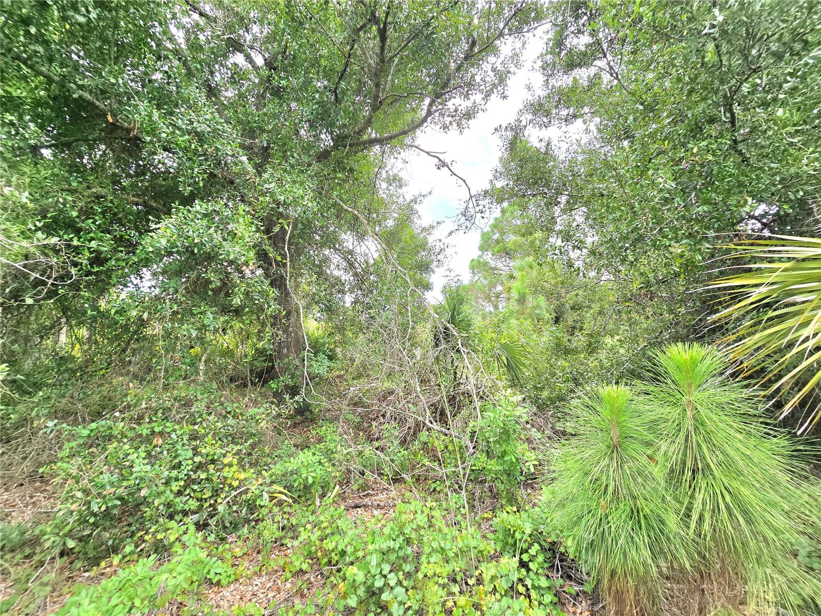 PORT CHARLOTTE SEC 062 - Land