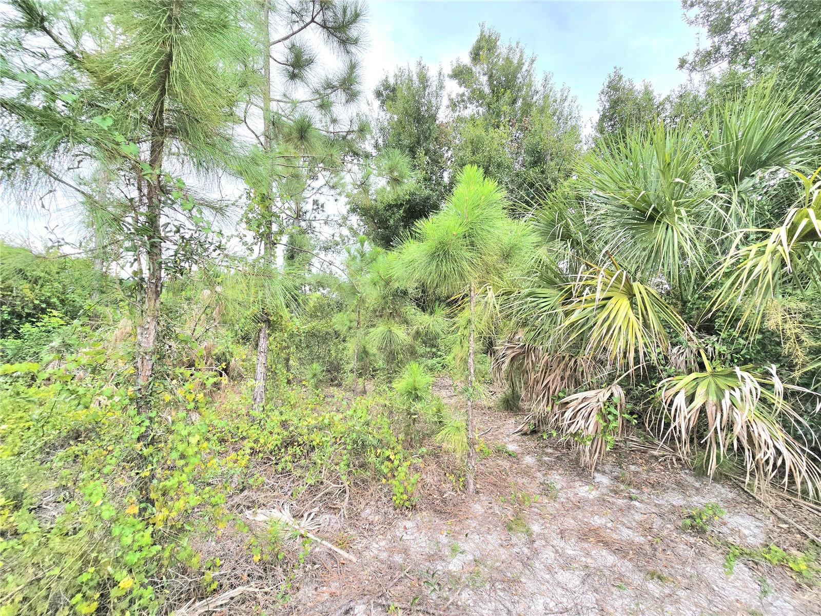 PORT CHARLOTTE SEC 062 - Land