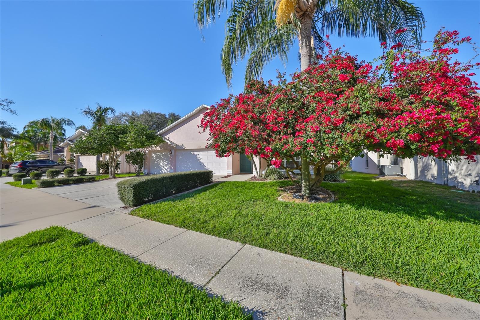 11218 LONGBROOKE DRIVE