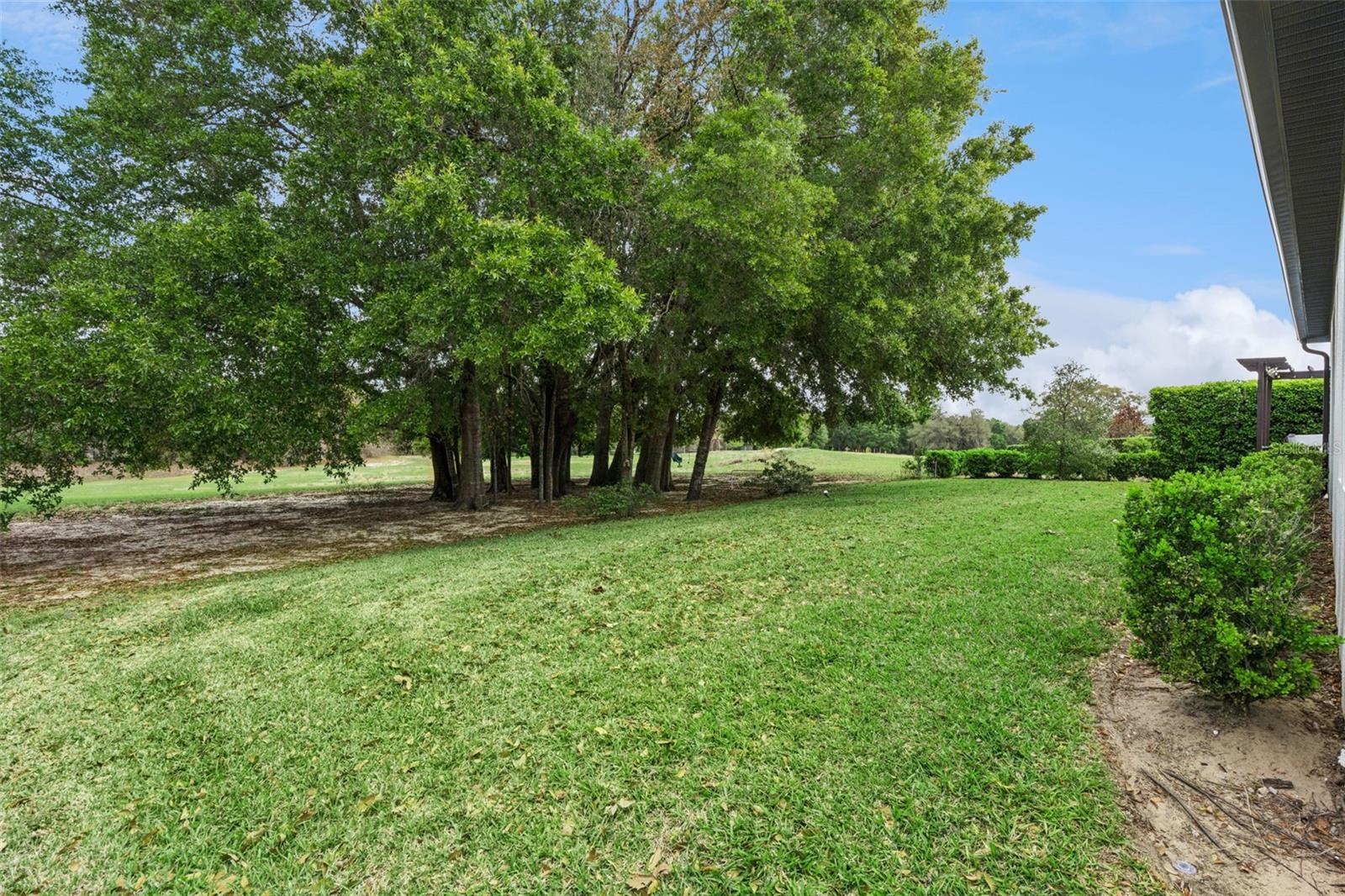 ROCK SPRINGS RIDGE PHASE - Residential