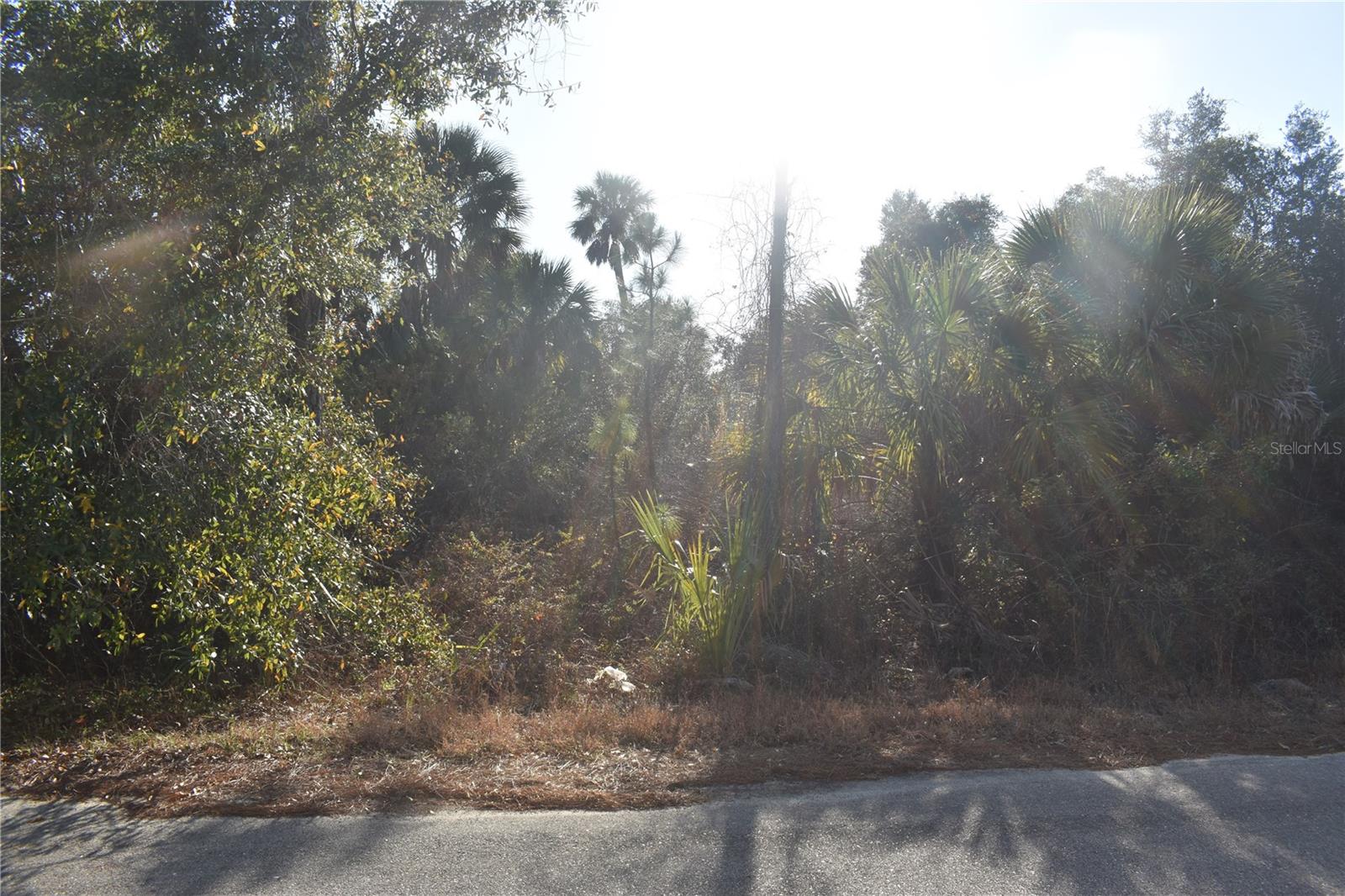 PORT CHARLOTTE SUB 22 - Land