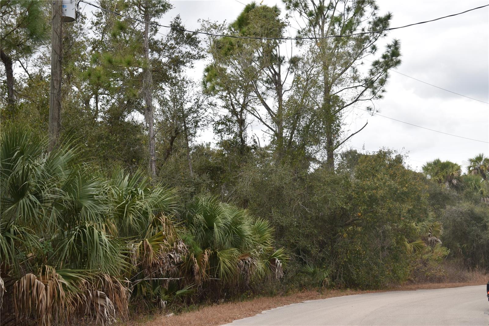 PORT CHARLOTTE SUB 22 - Land