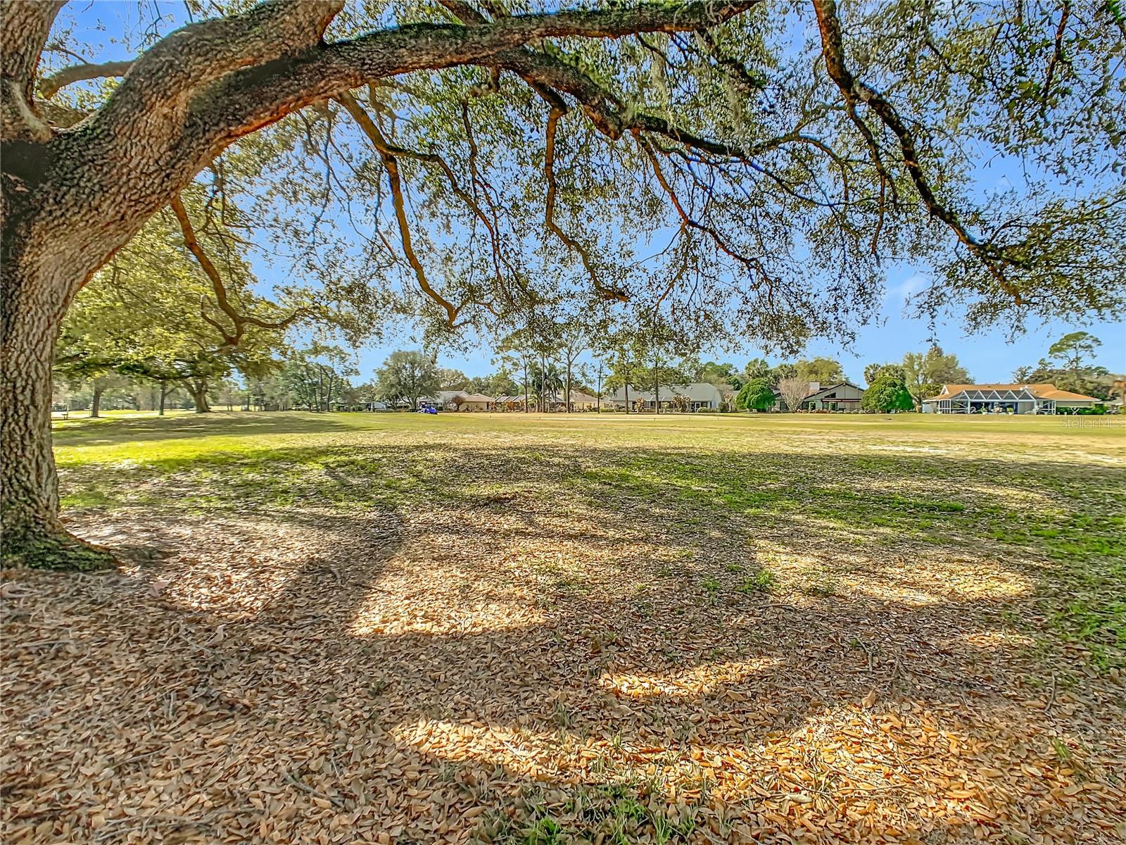 CYPRESSWOOD GOLF VILLAS - Residential