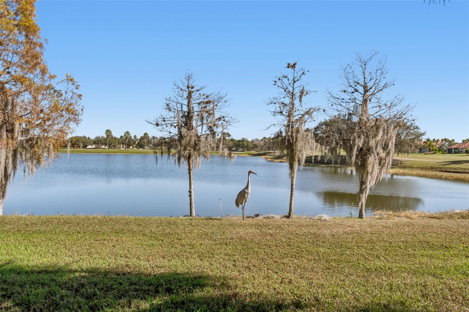 SOLIVITA PH 5F - Residential