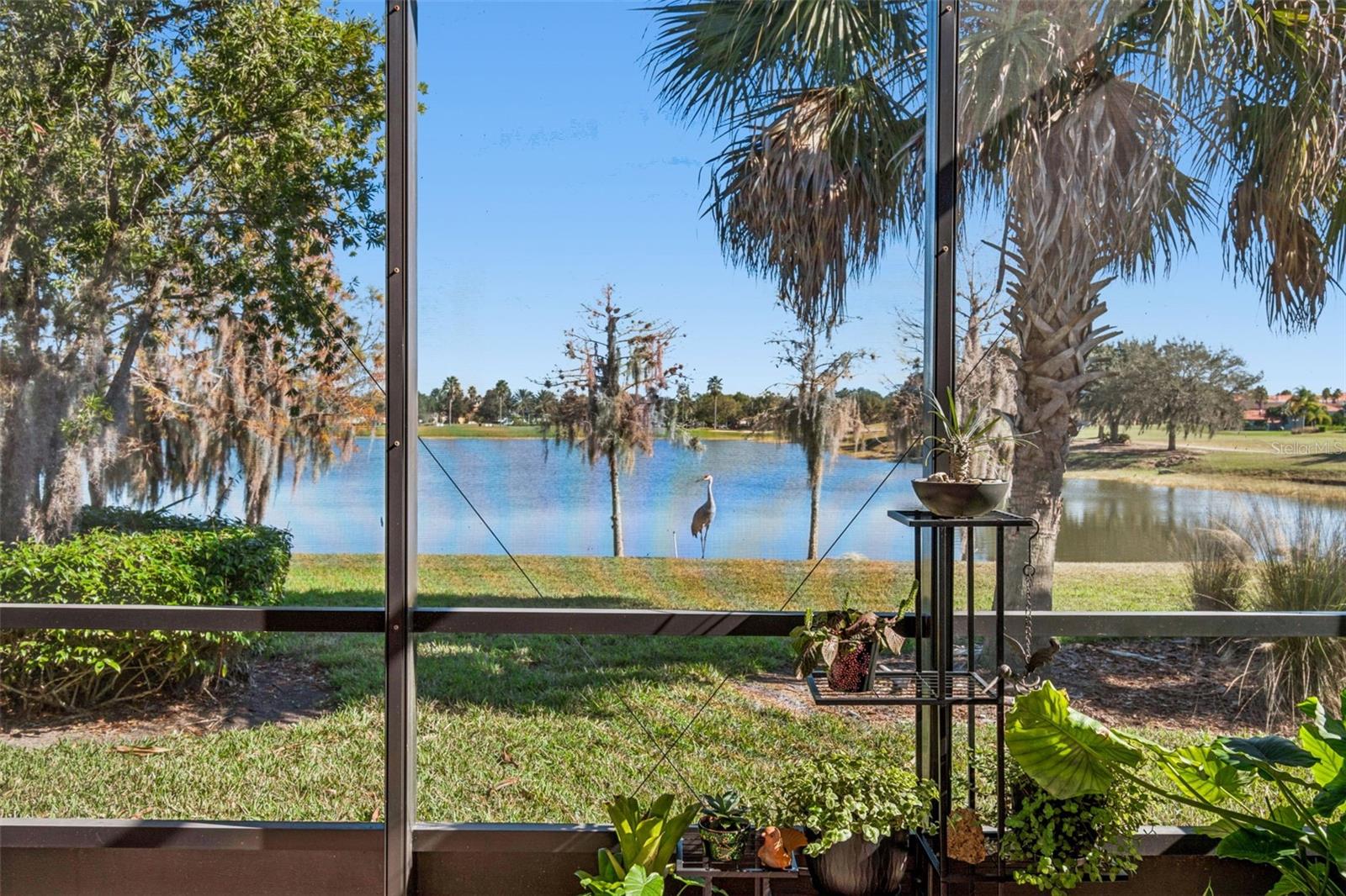 SOLIVITA PH 5F - Residential