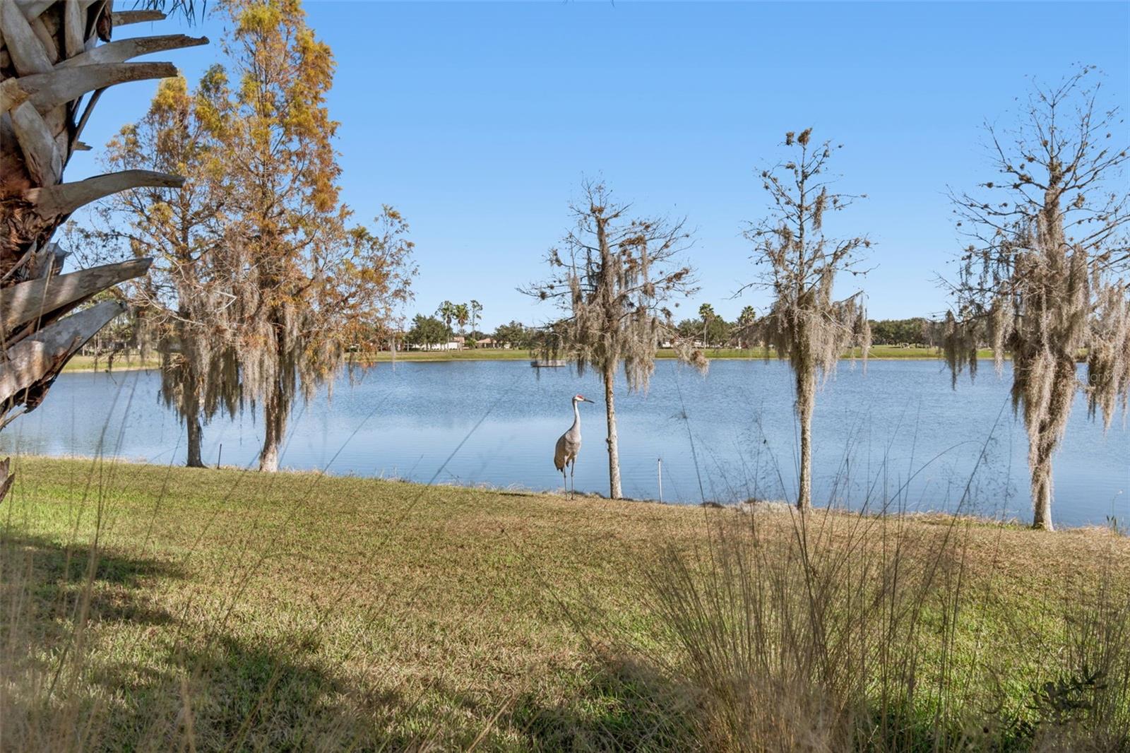 SOLIVITA PH 5F - Residential