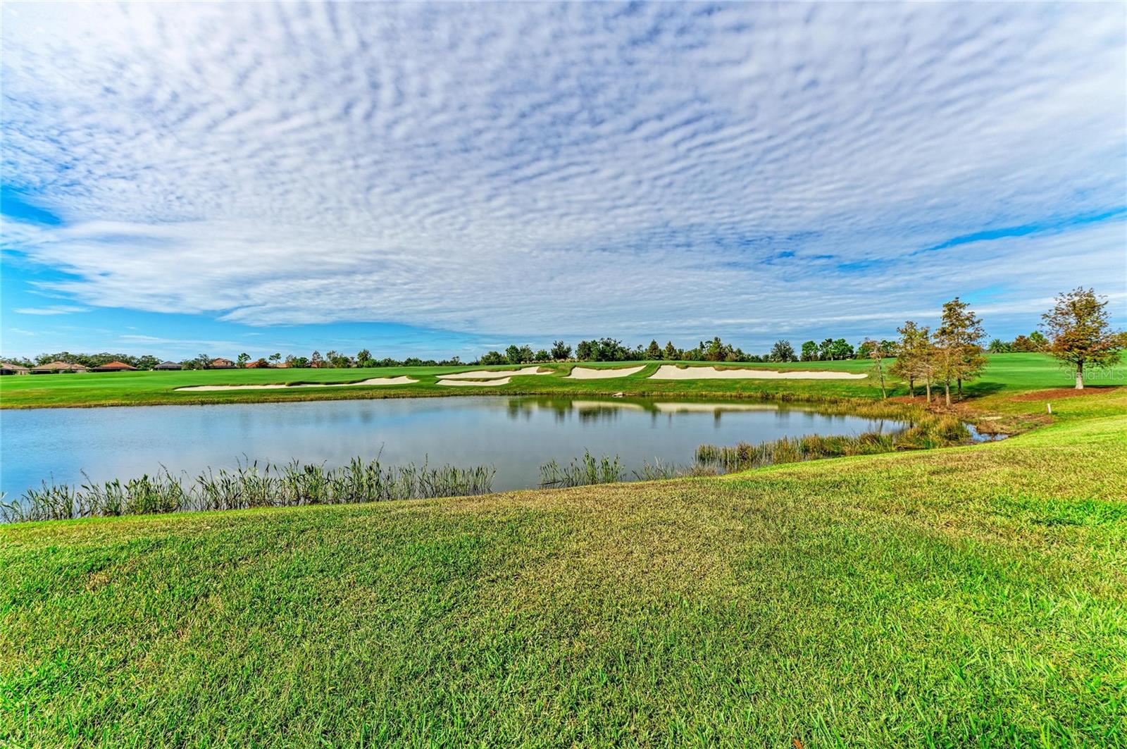 COACH HOMES II AT LAKEWOOD NATIONAL PH 5 - Residential