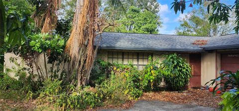 A home in RIVERVIEW