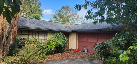 A home in RIVERVIEW