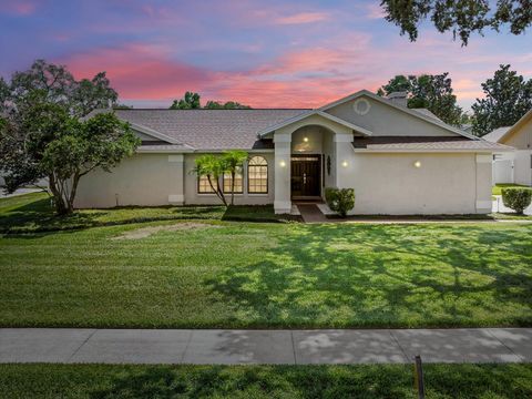 A home in VALRICO