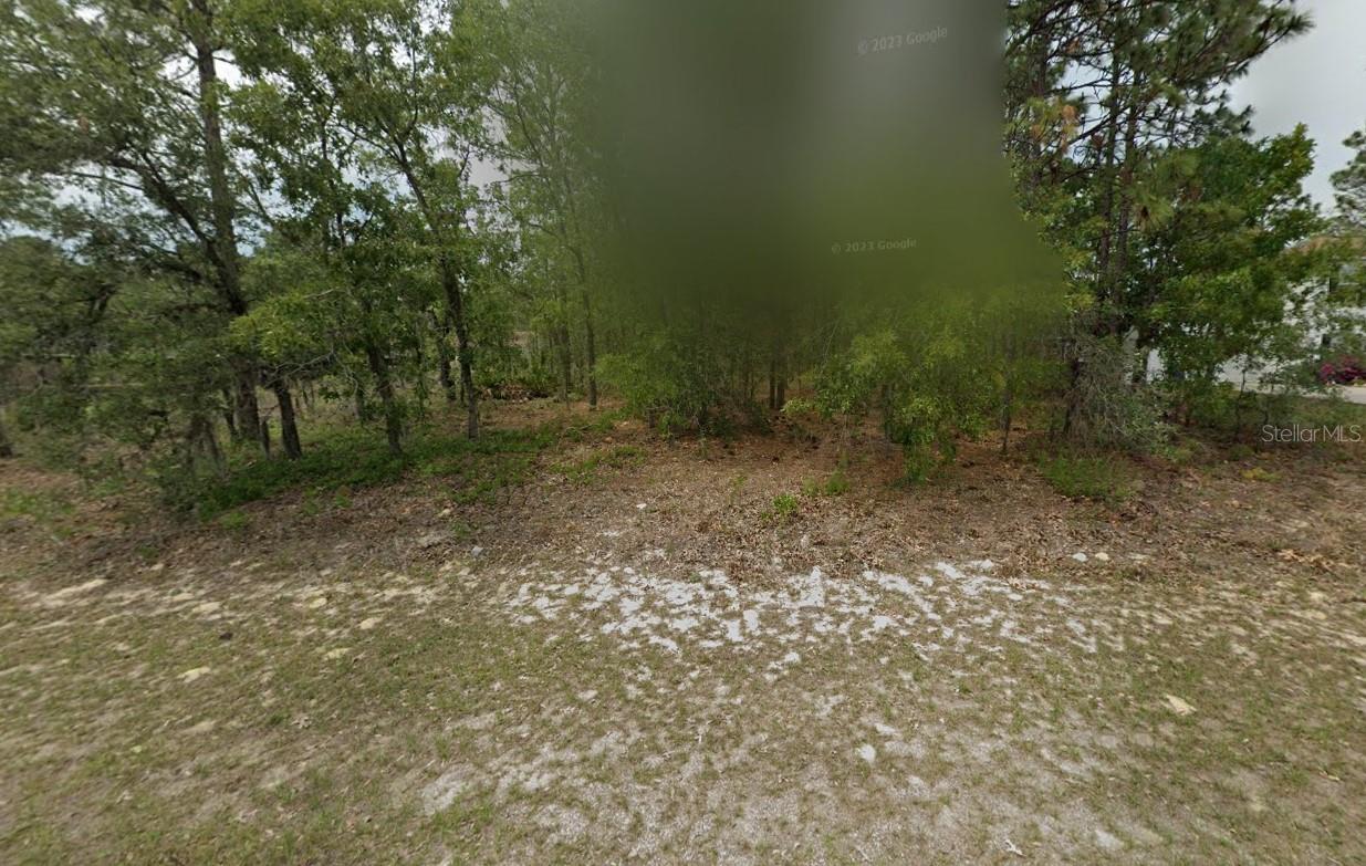 CITRUS SPGS UNIT 08 - Land