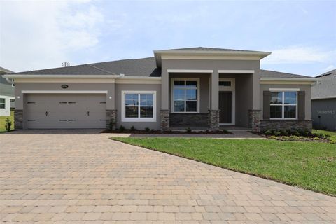 Photo of 3270 Wolf Lake Avenue, Apopka, FL 32712 (MLS # O6373502)