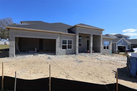 Photo of 3270 Wolf Lake Avenue, Apopka, FL 32712 (MLS # O6373502)