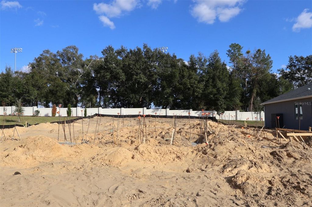 Photo of 3270 Wolf Lake Avenue, Apopka, FL 32712 (MLS # O6373502)