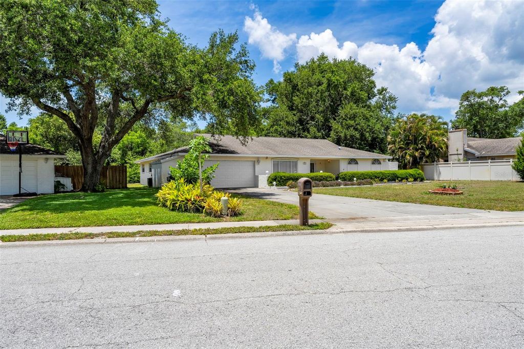 Photo of 207 Dunbridge Drive, Palm Harbor, FL 34684 (MLS # TB8506304)