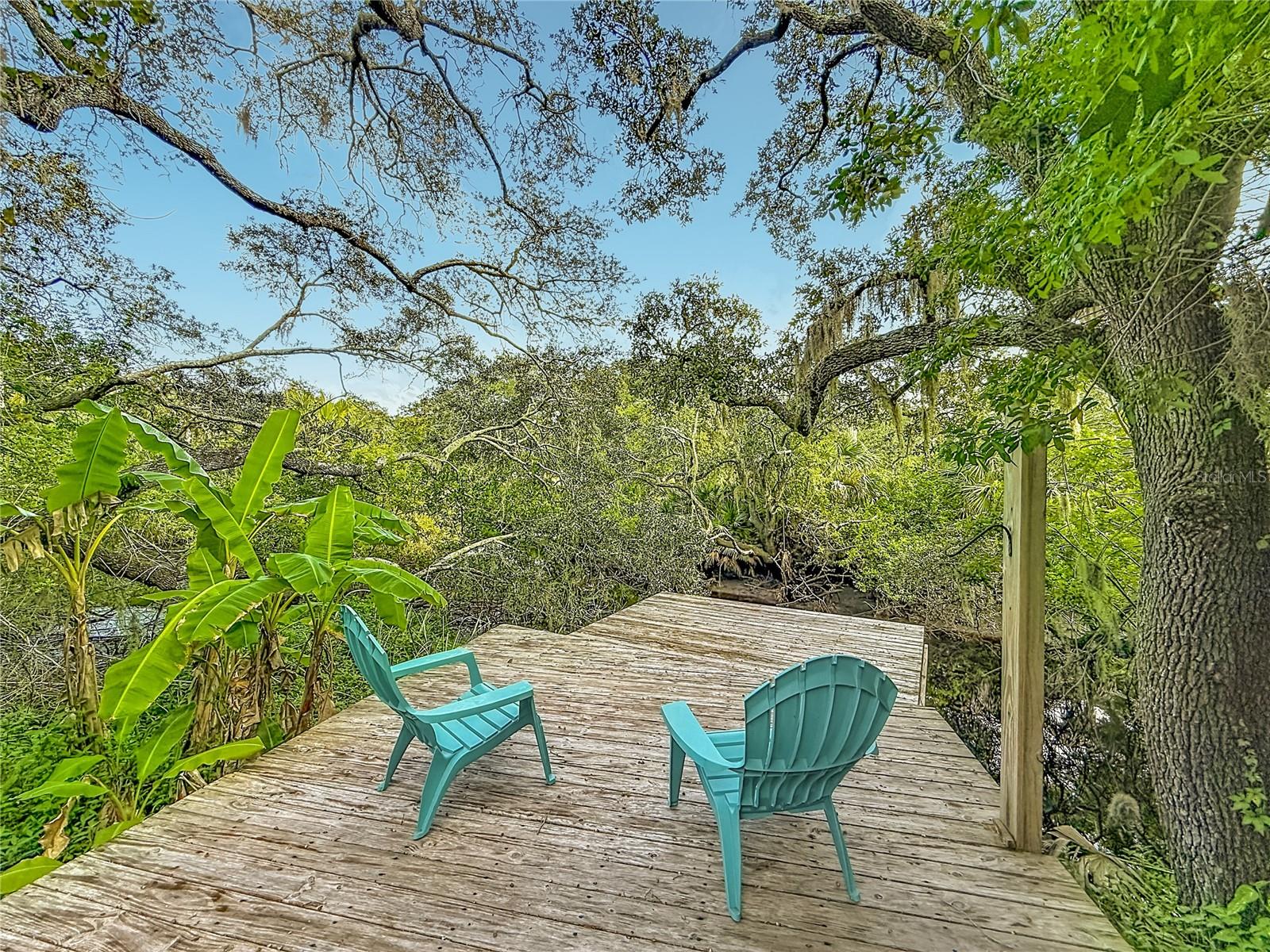 12805 TWIN BRANCH ACRES RD