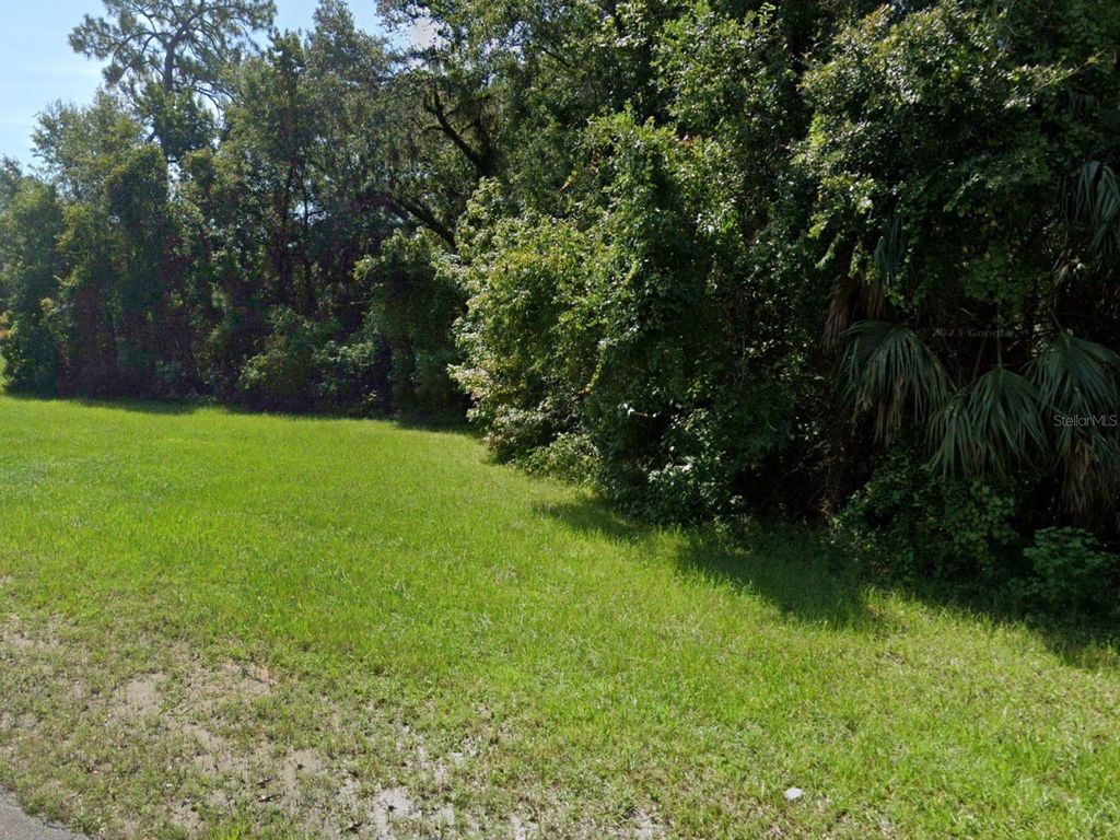 Photo of 44 W Sr 44 New York Avenue, Deland, FL 32720 (MLS # O6401683)