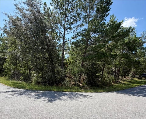 Tiny photo for Redwood Run Loop, Ocala, FL 34472 (MLS # OM727593)
