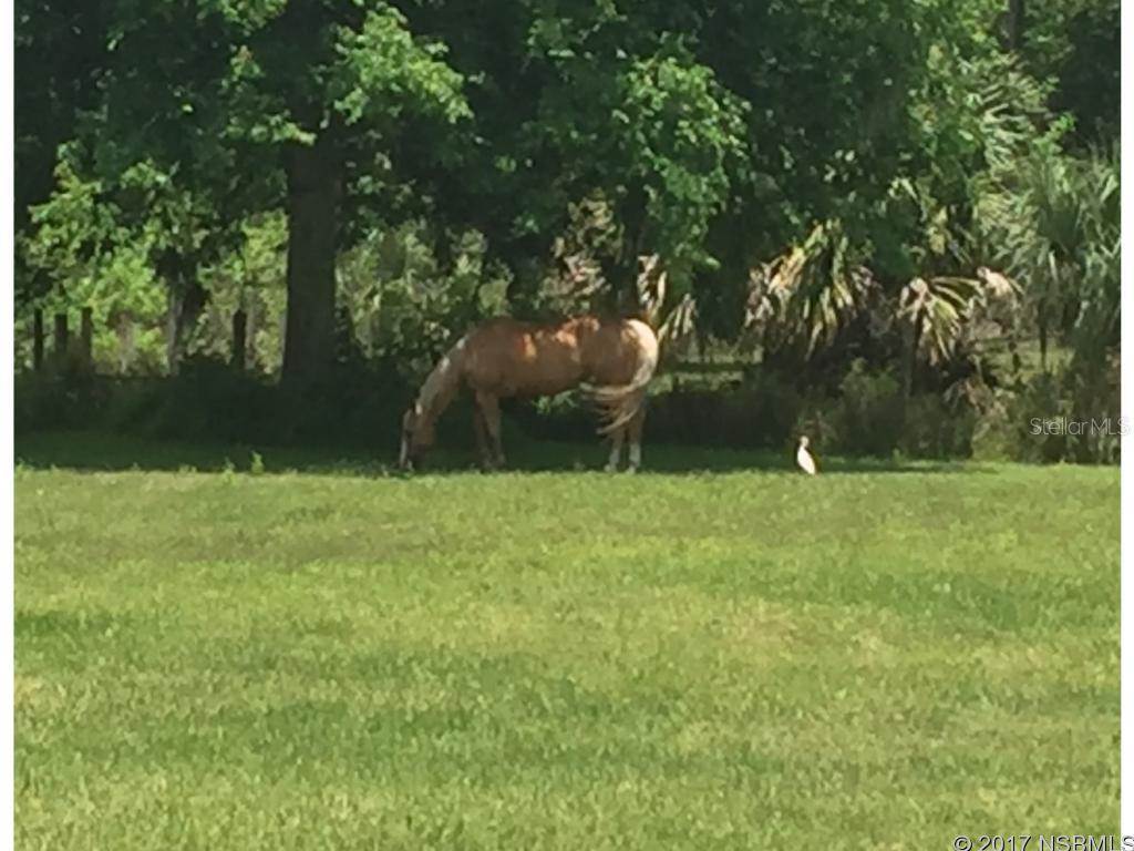 Bradburys Rivermoor - Residential