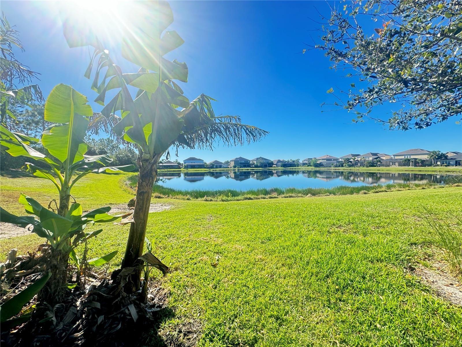 ARBOR LAKES ON PALMER RANCH - Residential Lease