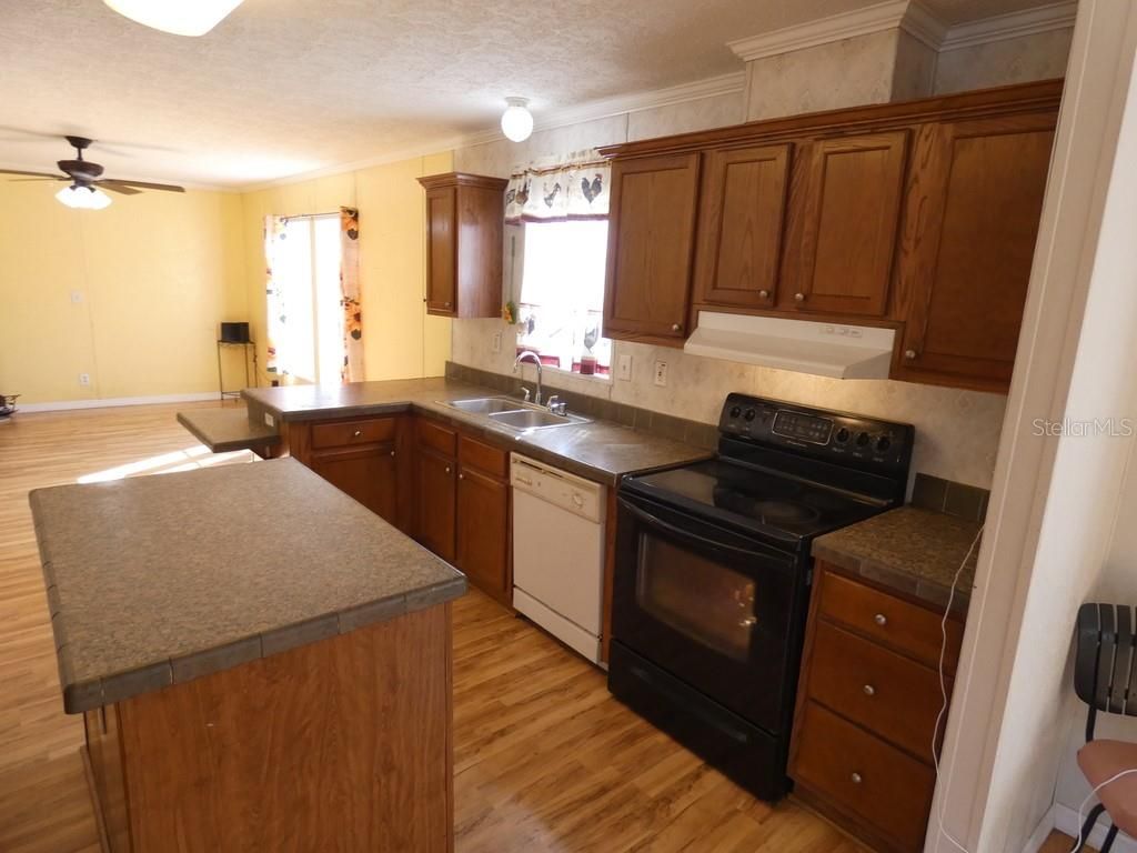 Photo of 10042 Gilmer Street, New Port Richey, FL 34654 (MLS # W7882833)