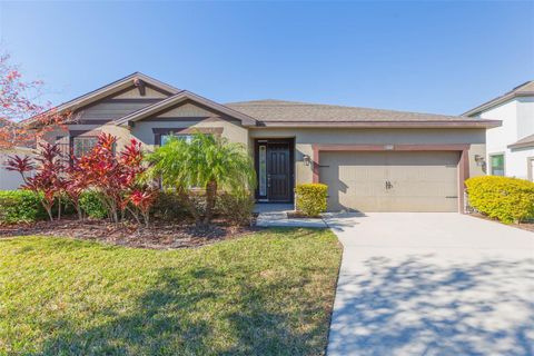 A home in RIVERVIEW