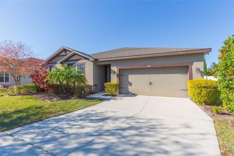 A home in RIVERVIEW