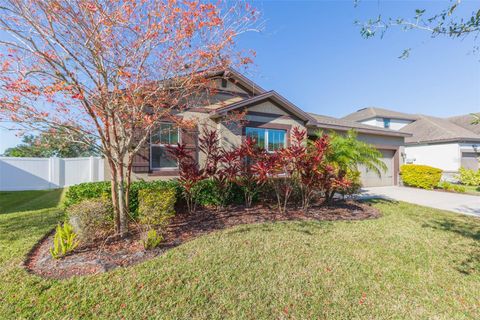 A home in RIVERVIEW