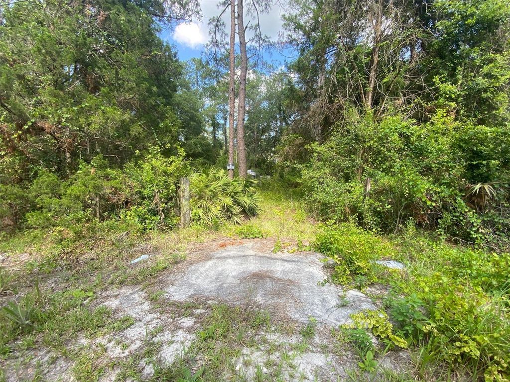 Photo of 13701 NE 66th Avenue, Citra, FL 32113 (MLS # OM727322)