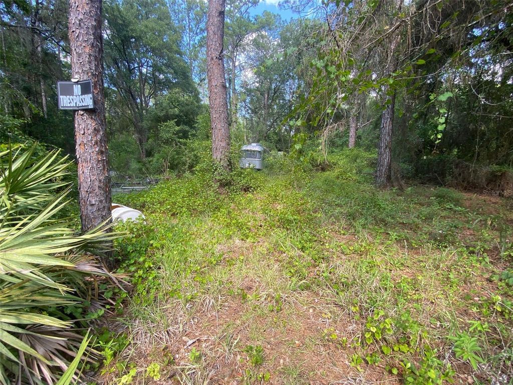 Photo of 13701 NE 66th Avenue, Citra, FL 32113 (MLS # OM727322)