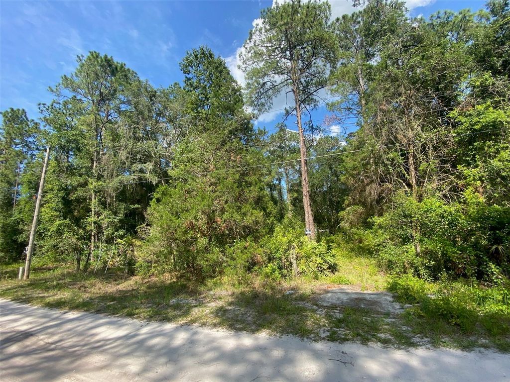 Photo of 13701 NE 66th Avenue, Citra, FL 32113 (MLS # OM727322)