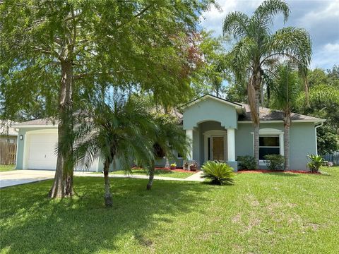 A home in PALM COAST