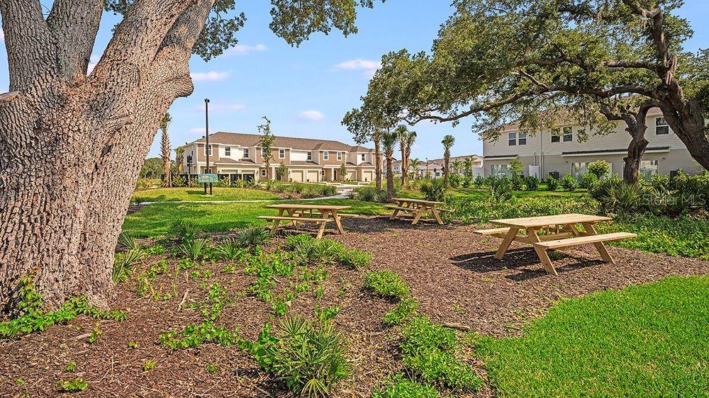 VINTERRA TOWNHOMES - Residential
