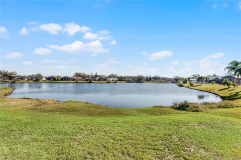 A home in KISSIMMEE