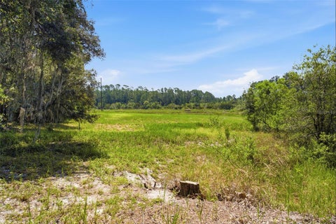 Tiny photo for 0 Forest 02, #1, SE 150th Street, Umatilla, FL 32784 (MLS # G5115176)