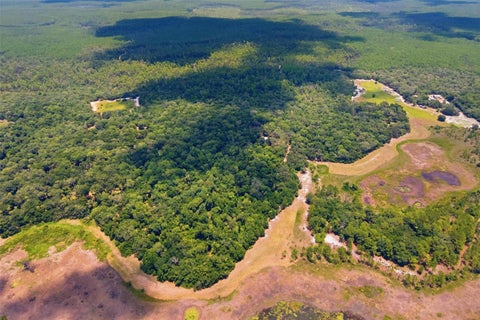 Tiny photo for 0 Forest 02, #1, SE 150th Street, Umatilla, FL 32784 (MLS # G5115176)