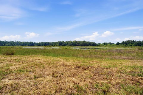 Tiny photo for 0 Forest 02, #1, SE 150th Street, Umatilla, FL 32784 (MLS # G5115176)