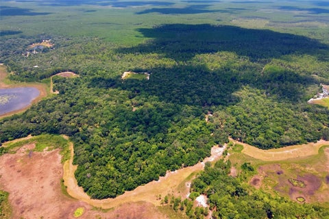 Tiny photo for 0 Forest 02, #1, SE 150th Street, Umatilla, FL 32784 (MLS # G5115176)