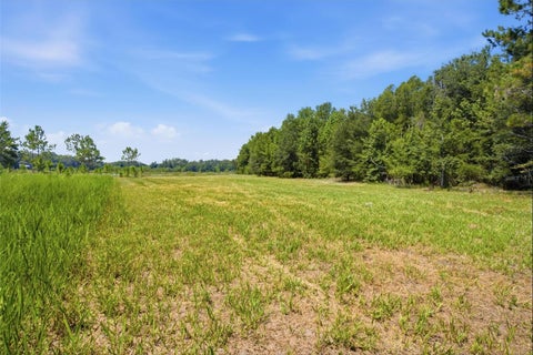 Tiny photo for 0 Forest 02, #1, SE 150th Street, Umatilla, FL 32784 (MLS # G5115176)