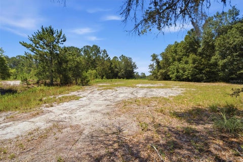 Tiny photo for 0 Forest 02, #1, SE 150th Street, Umatilla, FL 32784 (MLS # G5115176)