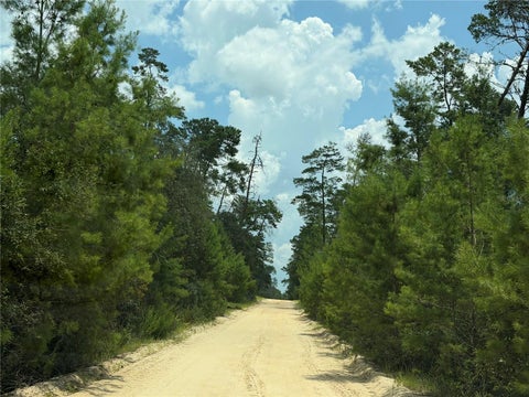 Tiny photo for 0 Forest 02, #1, SE 150th Street, Umatilla, FL 32784 (MLS # G5115176)
