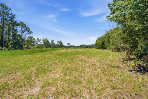 Tiny photo for 0 Forest 02, #1, SE 150th Street, Umatilla, FL 32784 (MLS # G5115176)
