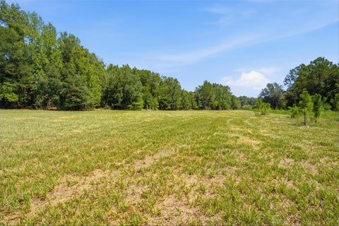 Tiny photo for 0 Forest 02, #1, SE 150th Street, Umatilla, FL 32784 (MLS # G5115176)