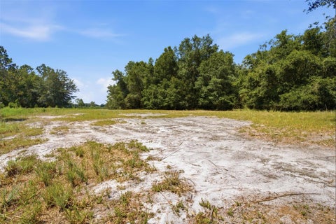 Tiny photo for 0 Forest 02, #1, SE 150th Street, Umatilla, FL 32784 (MLS # G5115176)