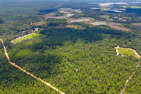 Tiny photo for 0 Forest 02, #1, SE 150th Street, Umatilla, FL 32784 (MLS # G5115176)