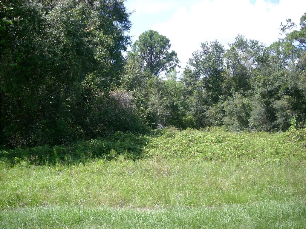 Photo of 1343 Congo Court, Kissimmee, FL 34759 (MLS # S5135086)